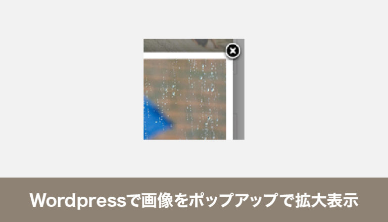 WordPressで画像をポップアップで拡大表示してみる「Easy FancyBox」