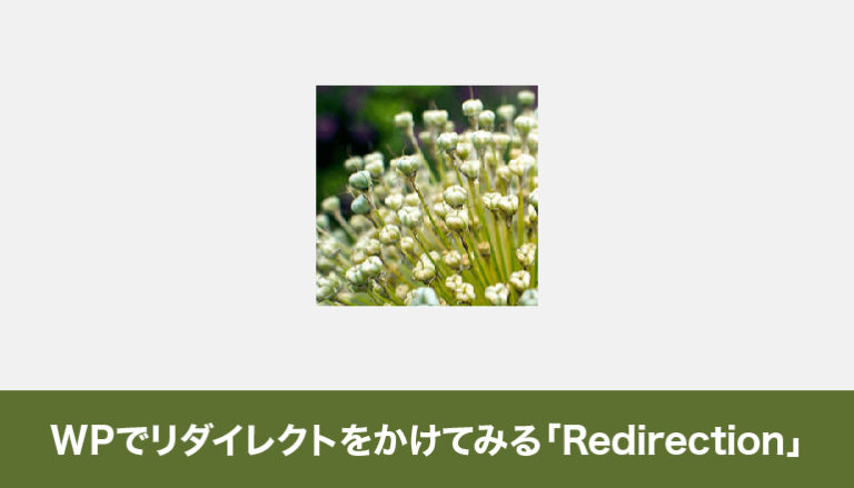 WordPressでリダイレクトをかけてみる「Redirection」